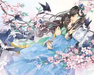 小黄人聚合莲花软件下载安装